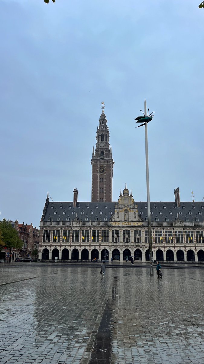 14:00 grijs en nat <a href="/leuven/">Shari Seley</a> #vrtweer #leuven
