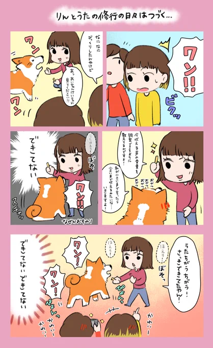 「りんとうたの修行の日々はつづく…」
新登場りんちゃん(長男のお嫁さん)です✨
いつも斬新な芸を考えてうたに教えてます😂
お手を教えたのもりんちゃんなんです…🤭

#漫画が読めるハッシュタグ 
#漫画
#ペット 