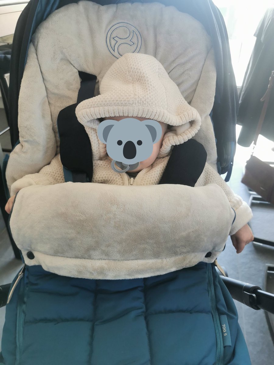 brbxe_'s tweet photo. Hoe schattig is menne vriend in z'n koets met z'n nieuwe jasje????? 😍😍😍
#LittleF https://t.co/BaI8xCexTQ