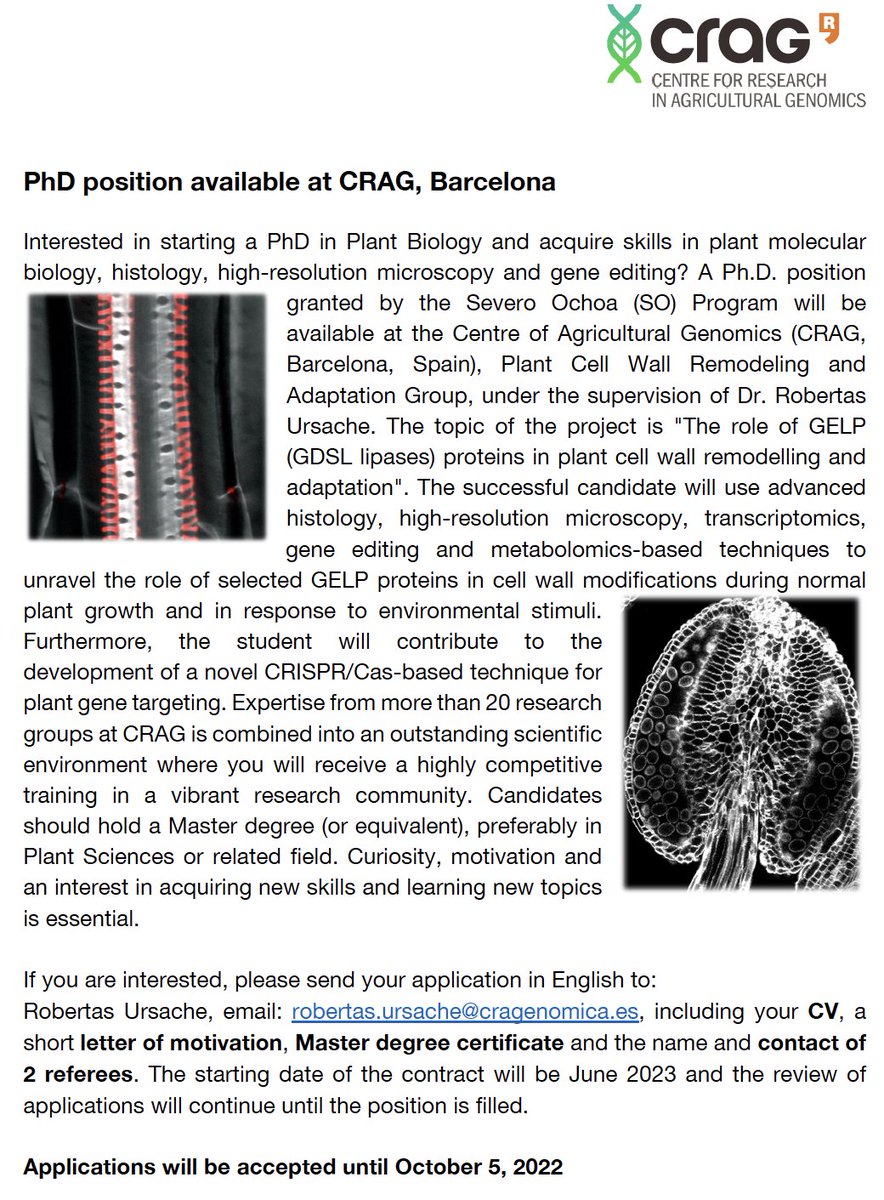 A PhD position in cell wall remodelling is open in my group at @CRAGENOMICA Please see the details below and RT