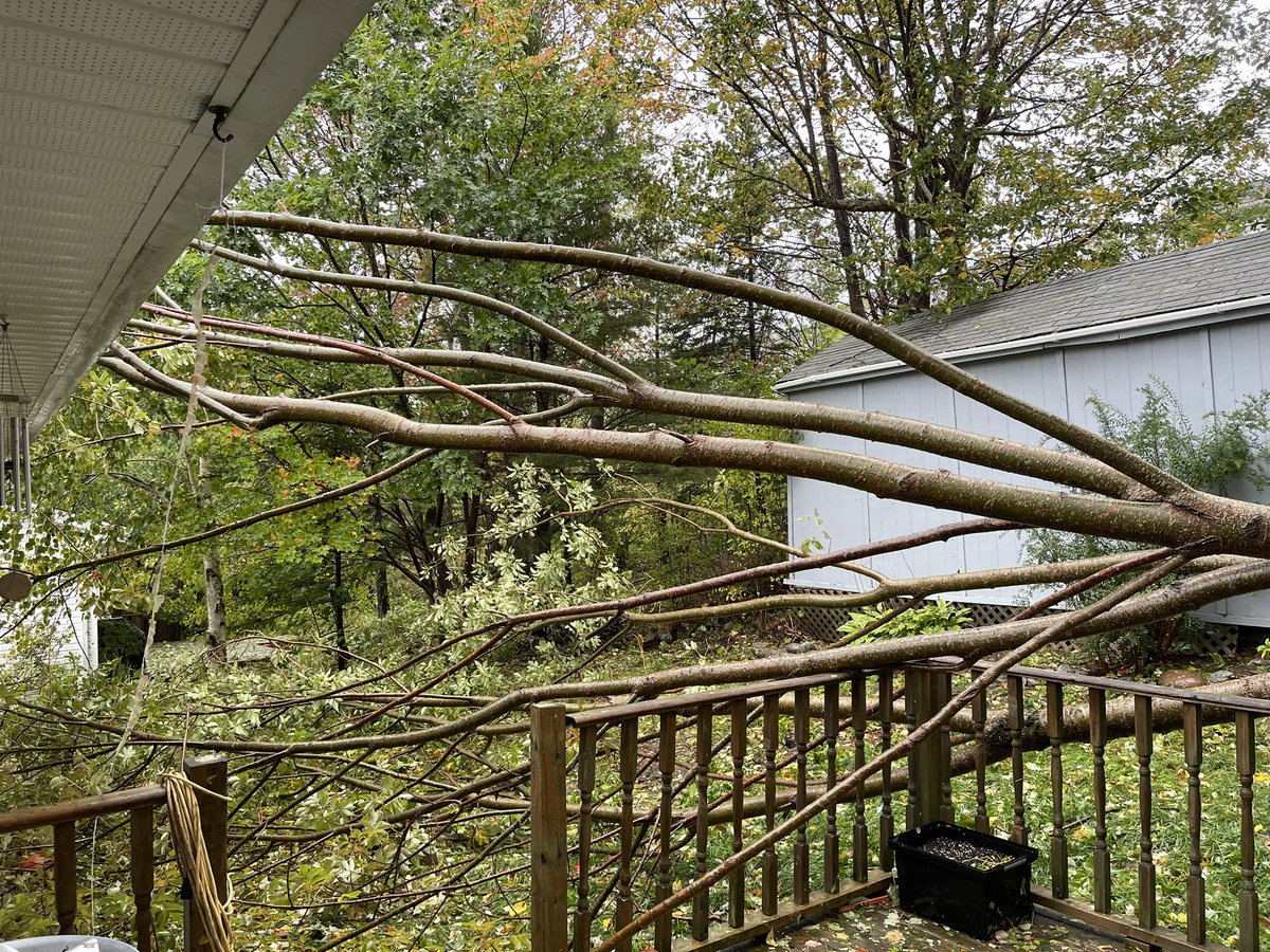 Kate Hendry tweet media