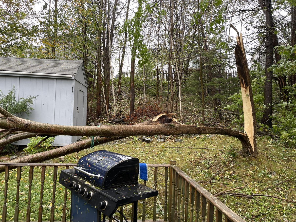 Kate Hendry tweet media