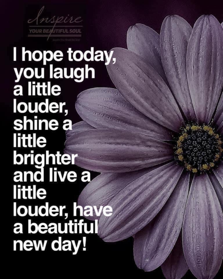 SFTSorg's tweet photo. https://t.co/xMob4kRDKI