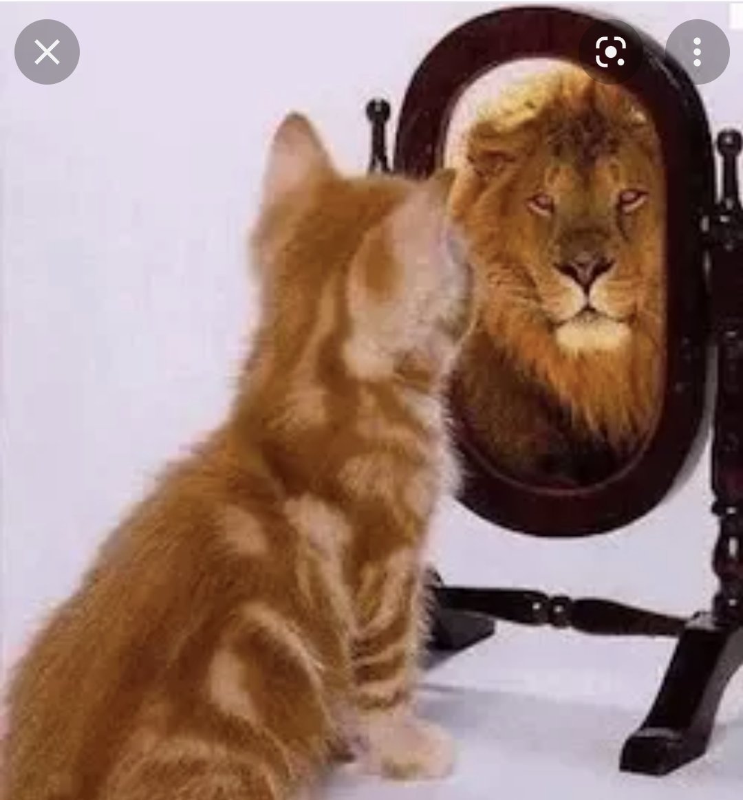 catseyes1982's tweet photo. If you change the way you look at things the things you look at change #StayStrong #dontselfdoubt #yourimportant change your mindset 💯 https://t.co/AzoTH1DCHf