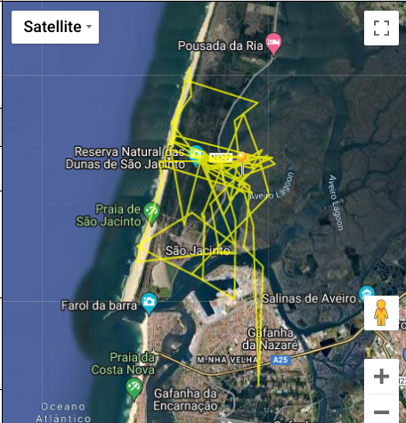 C_no_borders's tweet photo. Today's update: @TweedOspreys #Blue706 and #Blue708 still enjoying the same areas. #Tweed at #Aveiro lagoon in #Portugal, #Glen at #RefugioDeVerde in #Spain. Will they fly south? Will they overwinter on the #IberianPeninsula? Watch this space! #FOTO #FlightOfTheOsprey @sachadench https://t.co/WKd9lxoNqO