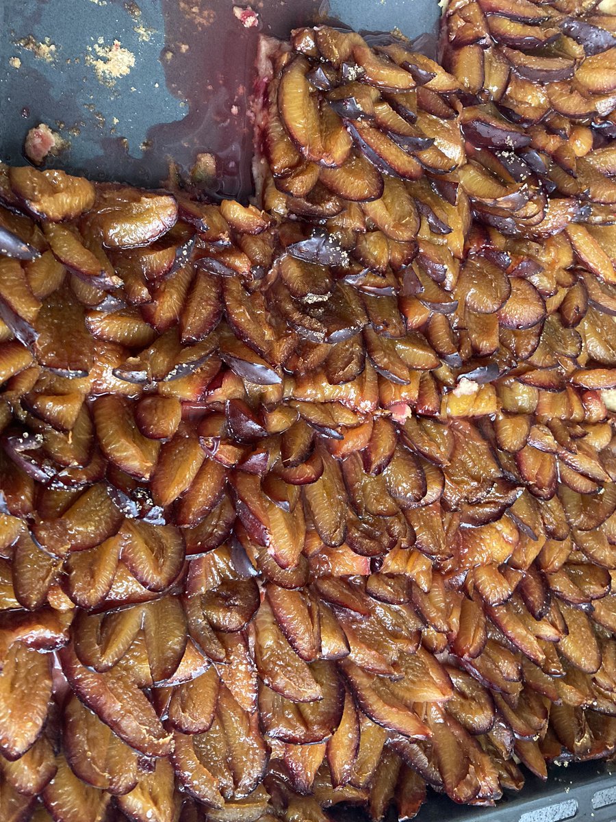 pysailor_de's tweet photo. Nobody makes a zwetschgendatschi (German plum cake) like mom! https://t.co/l2eFTPqMWi