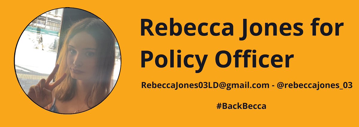 Delighted to announce I’m running for YL Policy officer!!

#BackBecca