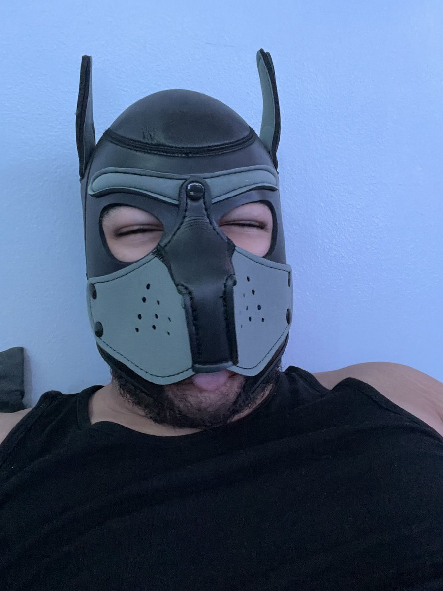 littlemoopup's tweet photo. Morning! #musclepup https://t.co/xT6AlG8qFV