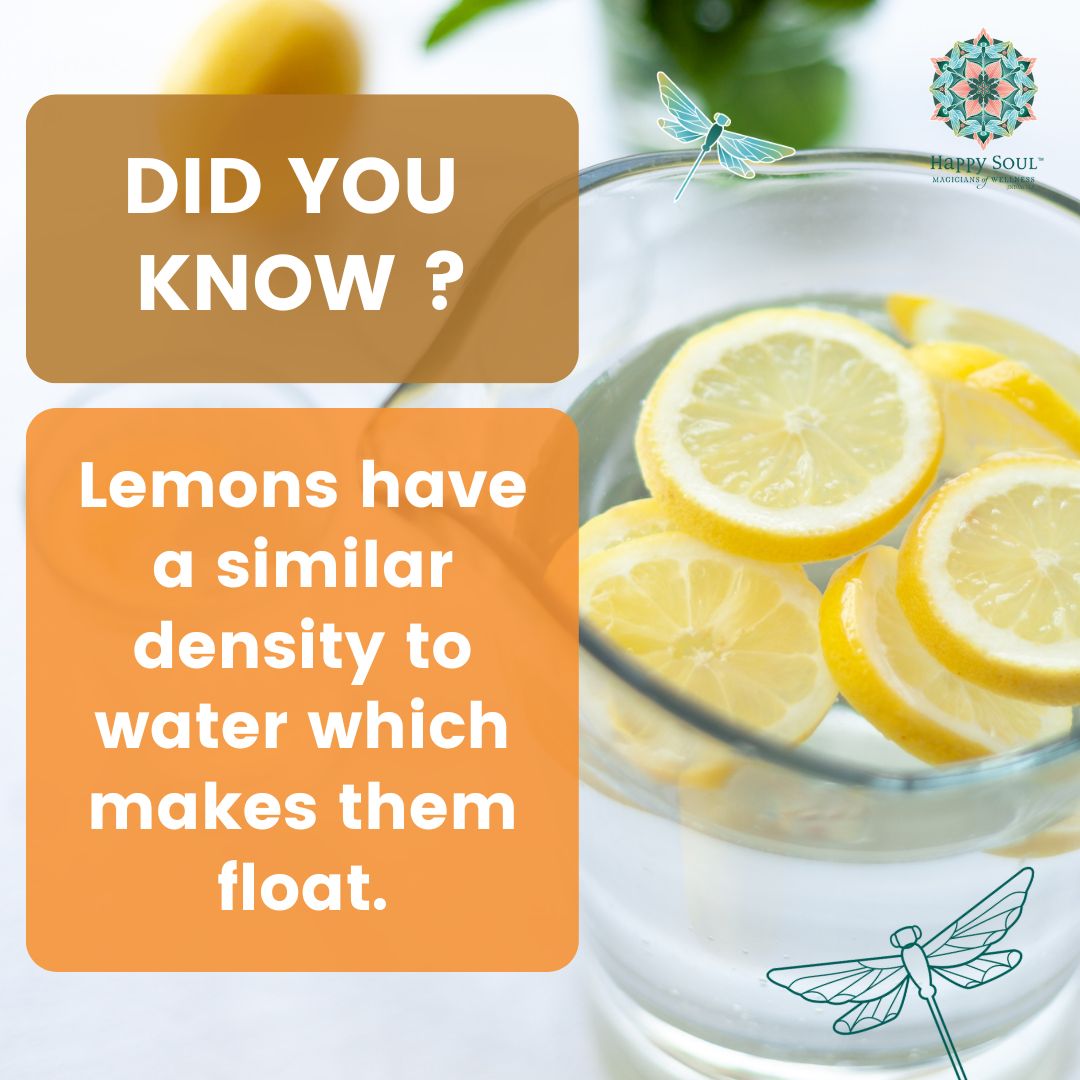 Ever wondered why lemons float in water? @poojabeditweets #lemons #funcfact #lemonfacts #water #happysoulindia #wellnesswonderland #vitaminC #foodfact #healthy