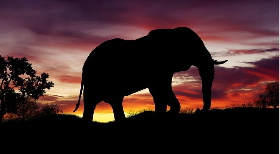 <a href="/Daniella_C1804/">𝐷𝑎𝑛𝑖𝑒𝑙𝑙𝑒</a>
Good evening Danielle 🌷
I follow you baby 💕 Can you follow me back please 🙏
<a href="/Daniella_C1804/">𝐷𝑎𝑛𝑖𝑒𝑙𝑙𝑒</a>
 💙🧡💜

<a href="/tomspvilaema/">Doni. 🇧🇷🇦🇷🇺🇸🇮🇱</a> <a href="/maga372006/">Márcia Elaine</a> <a href="/eliabilima22/">Eliabi Santos</a> <a href="/OlianoKatia/">Lojão da Káh🌻</a> <a href="/EliteGranit/">E_T_F</a> <a href="/samuelbertilss3/">samuel bertilsson</a> <a href="/OnildaSilva1/">Onilda Silva</a> <a href="/domlucre/">Dom Lucre - Only & Confirmed backup.</a> <a href="/dg_rrt/">Don Gibson☮️</a> <a href="/EliteGranit/">E_T_F</a> <a href="/EdneiaScanto/">Edneia Santos</a> @EDGARRREYES