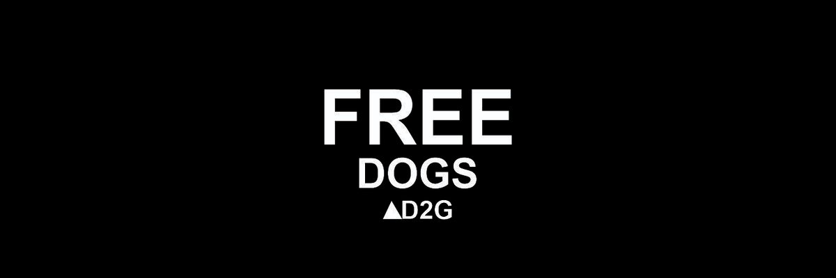 FreeDogsSociety's tweet photo. Introducing Free Dogs Society and the Free Dogs concept.

The quest for liberation begins here and we will be your guide. 

Together, we will transcend this dogged state to a state where captivity is almost impossible. 

The Change is here and you will partake in it.
#AptosNFTs https://t.co/CXLzIaDeQ0