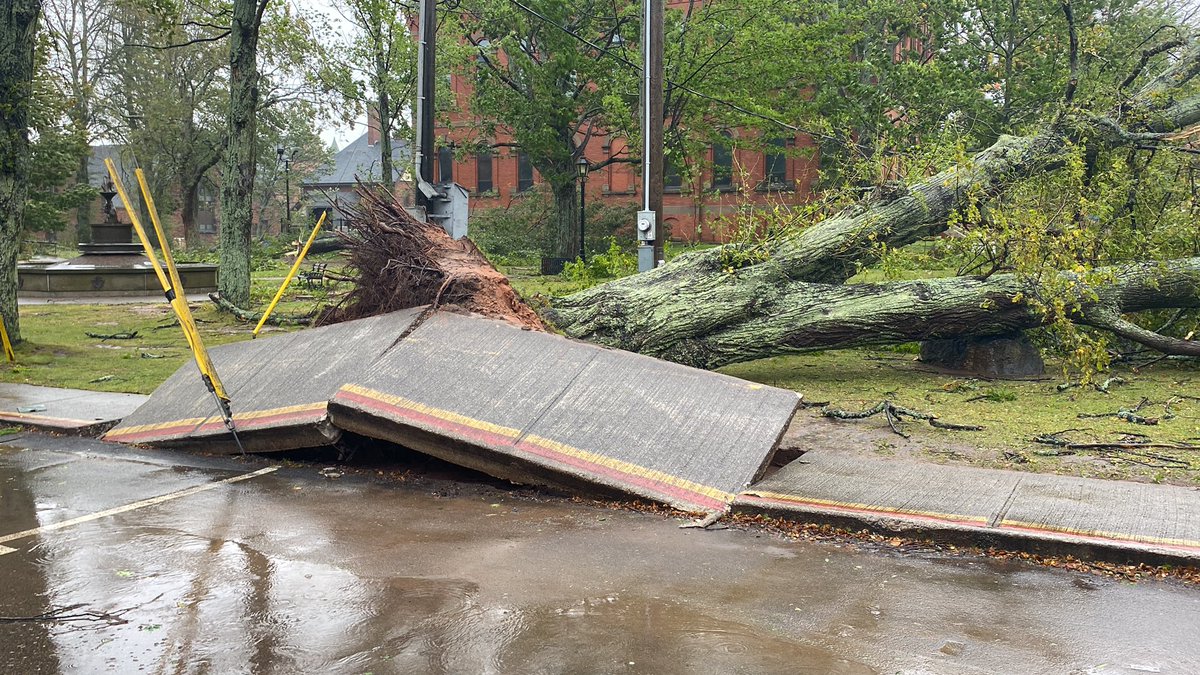 Jack Morse tweet media