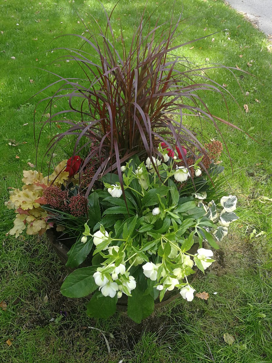 kerstin_petter's tweet photo. Från sensommarpromenaden 🚶♀️👋🌤️🌾
#blomtwitter #höstpåminplanet https://t.co/kNTLpTnmDV