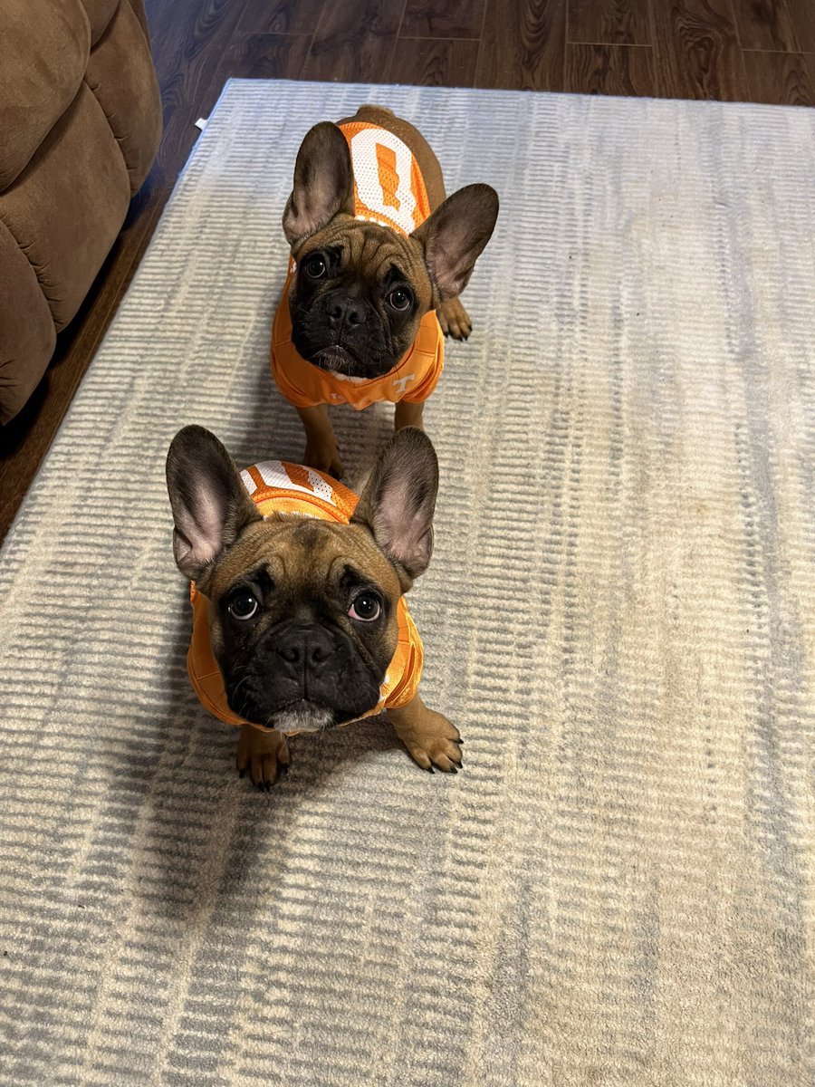 spsweatt's tweet photo. vols by 90!
GB🍊 https://t.co/TXuBZeEcv5