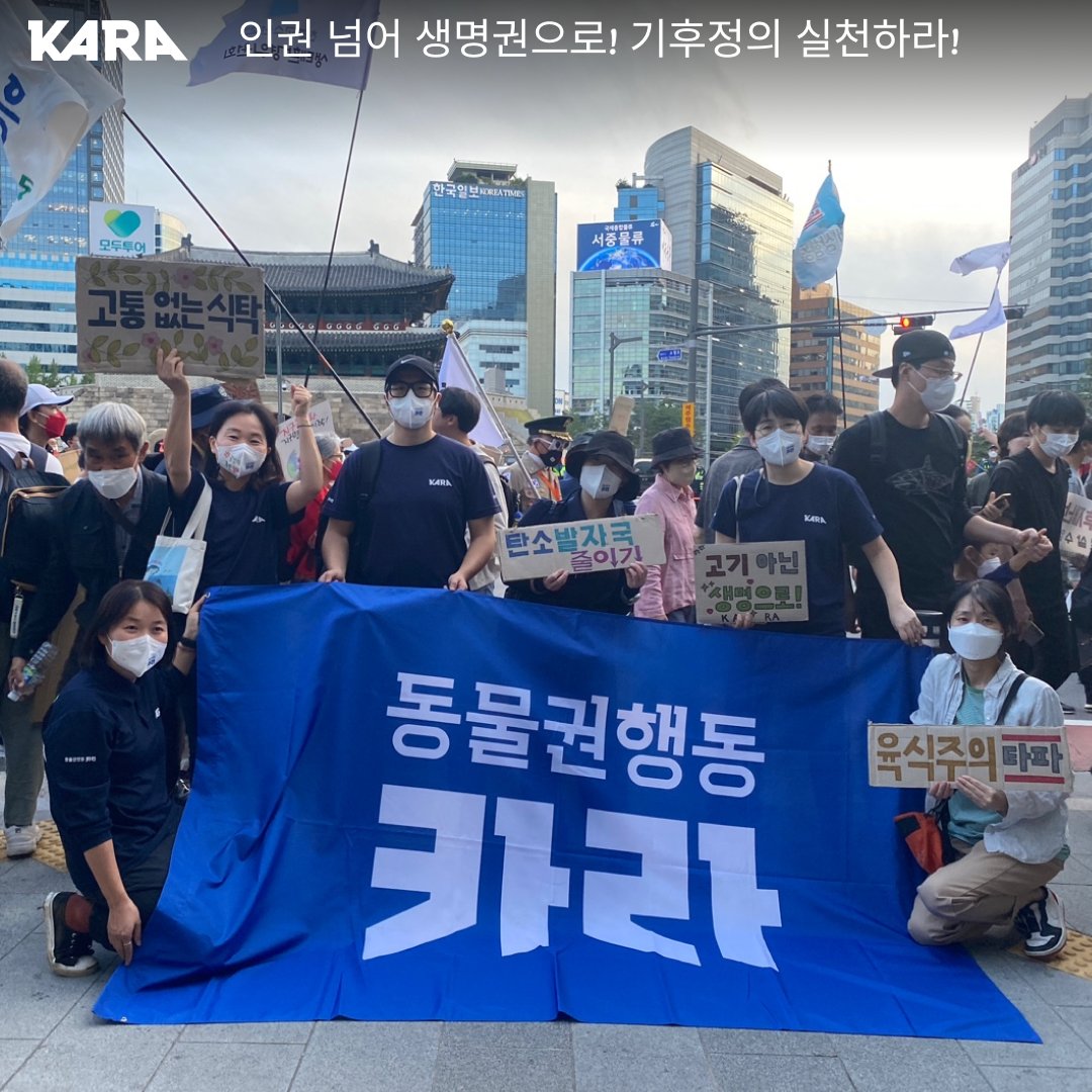 ekara_org's tweet photo. 높고 파란 가을 하늘 아래 3만5천명의 사람들이 다양한 이유로 모여 한 가지를 외쳤습니다.
“이대로 살 수 없다, 기후위기의 시대 기후정의 실현하자”
멸종의 시대로 불리는 오늘날, 동물권행동 카라도 기후위기 속 동물의 목소리를 대변하기 위해 함께했습니다.
👉자세히 보기https://t.co/DLMrdLLOGk https://t.co/9tLOk4RBfu