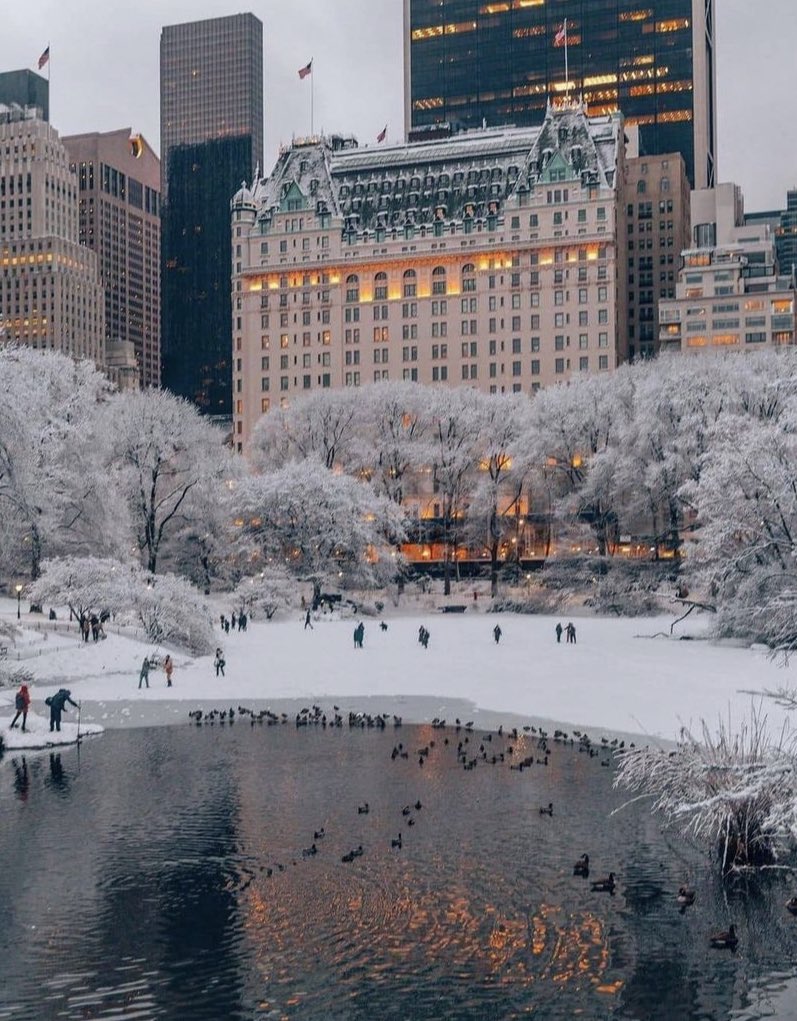 viewwporn's tweet photo. Winter in New York https://t.co/nMHvfWs05J