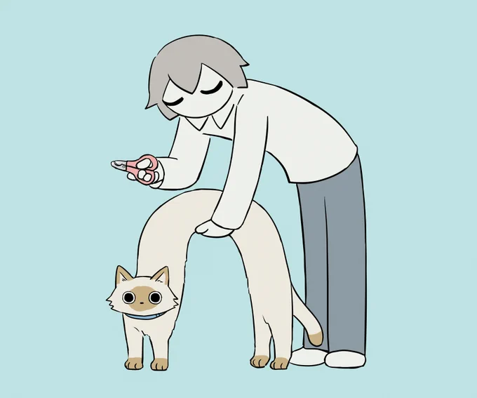 ストレッチ素材 