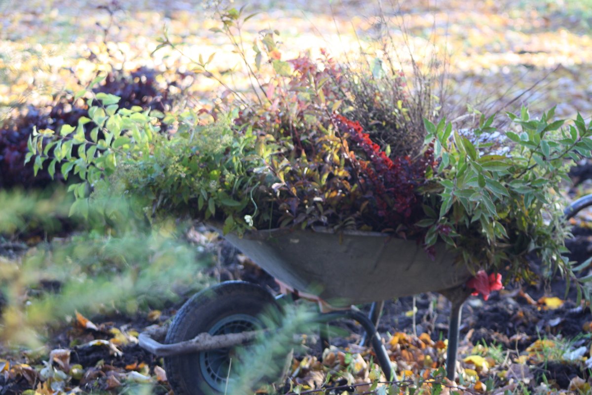 Dimzas's tweet image. Rudens klāt.