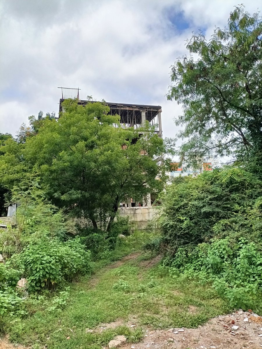 JOURNALIST LINGAM tweet media