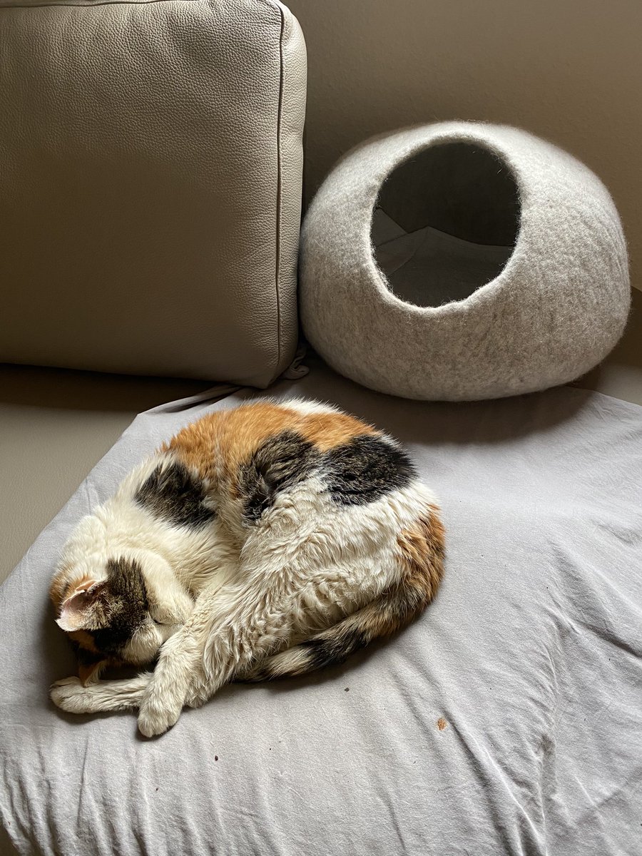 <a href="/Cookies_Welten/">Cookie 😻</a> Molly hat den Geburtstag 🎁 verpennt. Sie hätte Dir auch gratuliert