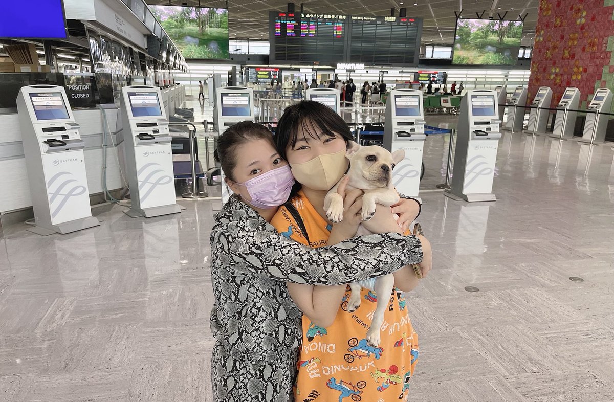 LSG_SmileLabo's tweet photo. 8/29🗓日本出発✈️💨

3年ぶりのタイ🇹🇭
今回はどんな事が待っているのか、
楽しみです🎶

じゅえたんとアムたんもお見送り🏠✨
行ってきます😆🙏‼️

#タイ #バンコク #海外
#写真好きな人と繋がりたい
#ファインダー越しの私の世界 https://t.co/z2l3QVPUMq