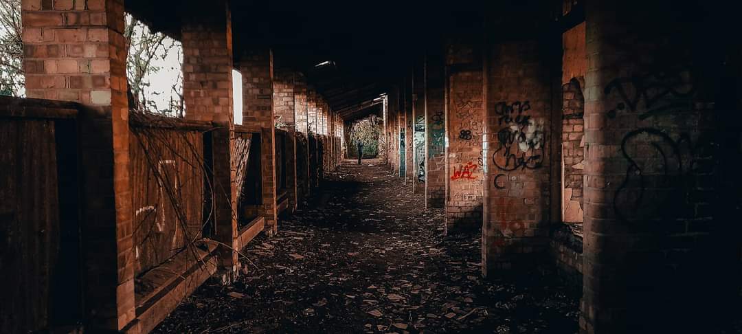Derelict_movie's tweet photo. Jonathan and Mikey grabbed some beautiful!! shots yesterday evening for our upcoming Derelict crowdfunding trailer, from the ground to the sky the boys had it covered 🎬
Photos by: Mikey 
#lbsfilms #indiefilm #crowdfunding #derelict #drone https://t.co/Sd1GpFDhWg
