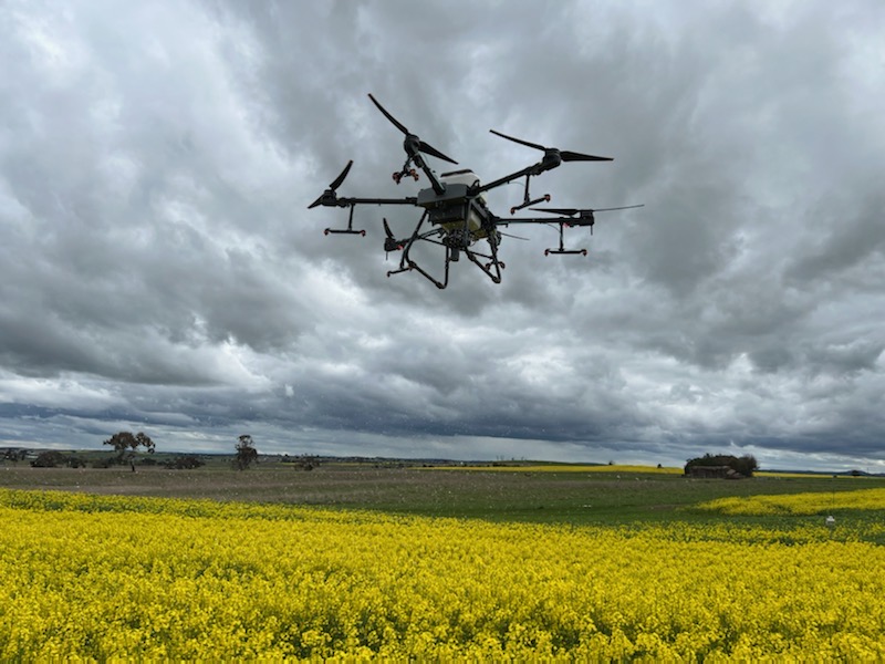 tony_swan64's tweet photo. Digital capability essential in this decile 9 year @CSIRO Boorowa Agricultural Research Station Long Term Farming Systems Experiment. Thanks to Baden from AgDrone Australia for spreading 250kg/ha urea onto our Trifecta canola to try & achieve max yield. π
https://t.co/H5RRTycCB7 https://t.co/kYy3tL1aHg