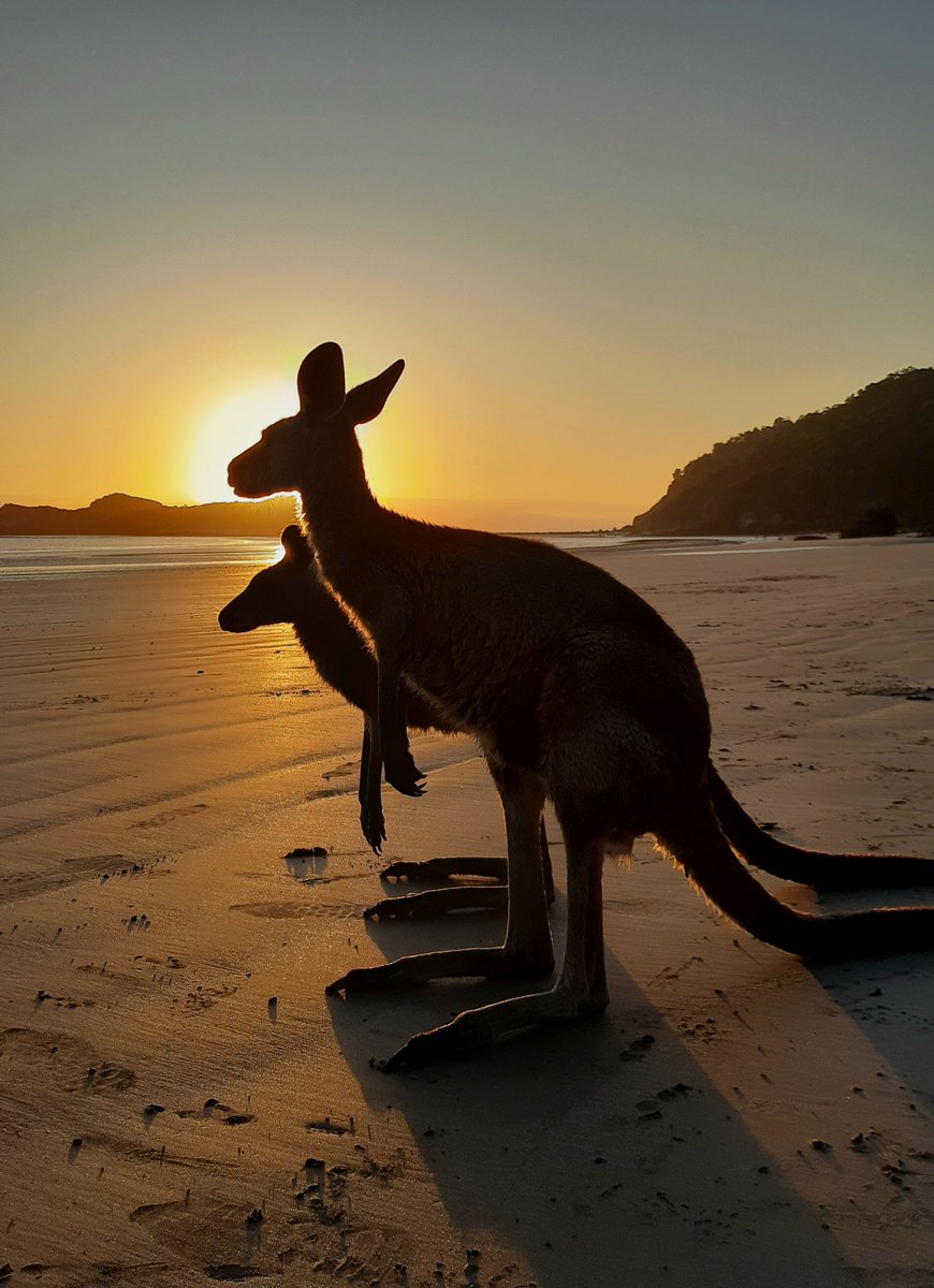 Jess ✨️📷🎨 tweet media