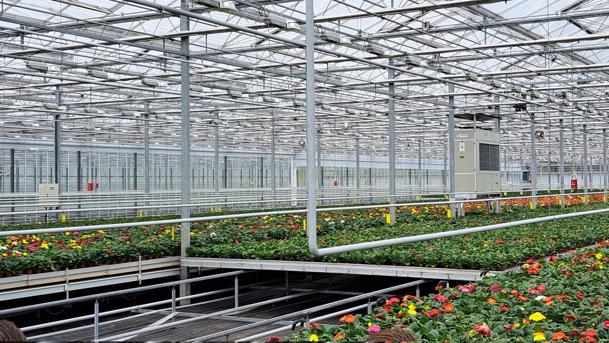 Te gast bij #JHLPlants in Pijnacker. Heel interessant kijkje in de wereld van de uitdagingen van de glastuinbouw...#belangrijkesector.