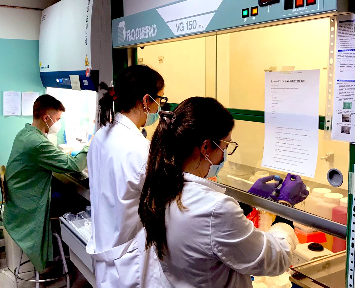 GdC_CCCB_lab's tweet photo. Today is the #WorldCancerResearchDay. 🧬🧪🧫🔬The  ℂ𝕖𝕝𝕝 ℂ𝕪𝕔𝕝𝕖 &amp; ℂ𝕒𝕟𝕔𝕖𝕣 𝔹𝕚𝕠𝕞𝕒𝕣𝕜𝕖𝕣𝕤 lab is devoted to investigate and fight cancer disease. Research saves lives!!!💪🏻💪🏻💪🏻💪🏻 @IIBmCSICUAM @CancerCSIC @CSIC @ASEICAnews @ContraCancerEs https://t.co/Rr2GT4ibGr