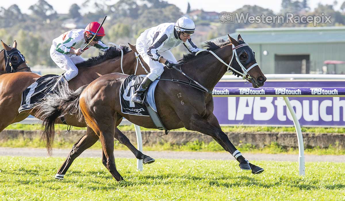 WesternRacepix's tweet photo. COMES A TIME - 2022 Black Heart Bart Stakes (Listed) @PerthRacing #WesternRacepix #BelmontParkPerth

More 📸 https://t.co/SigLznY1t7 https://t.co/8ygqLsG1PM