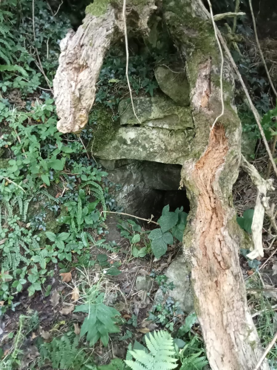 LSweathouse's tweet photo. @NationalMons @DeptHousingIRL @noonan_malcolm @Blarney_Castle @corkcitycouncil @CorkHistArchSoc @corkdfas @SouthgateAssoc1 @DarraghOBrienTD At the other end of the scale are small lime kilns https://t.co/uoQSLIIduP