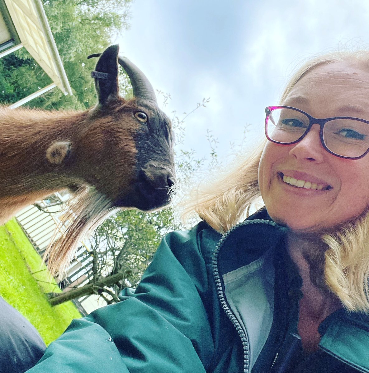 Ranger Louise and Paul the goat thoroughly enjoyed interviewing year 6 candidates (from Greenvale Primary) for Lunch Time Managers yesterday! The managers will be responsible for all lunchtime duties for the entire academic year- a huge responsibility 
@Greenvalesch 
#education