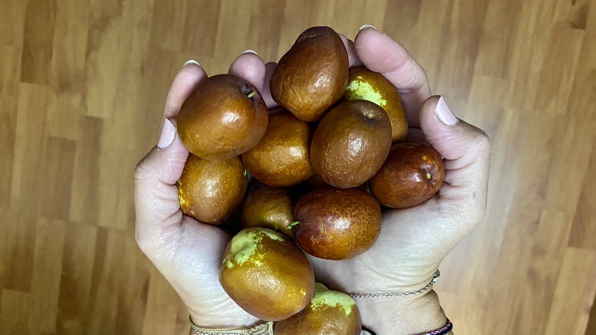 NuriaRegas's tweet photo. Gínjols, collita pròpia. Fruites de tardor 🍂🍁🍄 Avui podrem dir, més contents que un gínjol 😜 https://t.co/3Xu06kiBZg