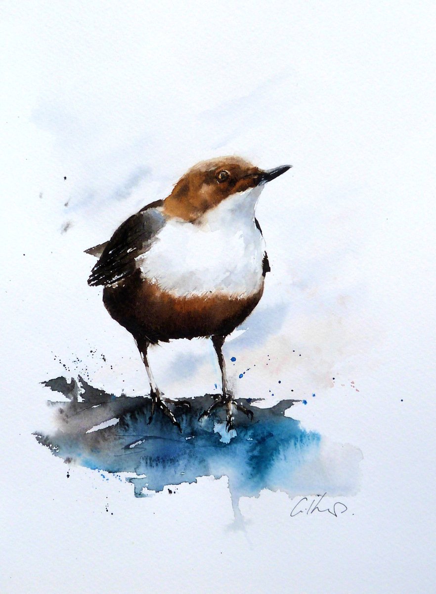 Dipper, high quality Giclee Print on its way to its new home. Forgive my shameless self promotion... I now offer a small selection of prints of my animal paintings, please take a look.- folksy.com/shops/GKWaterc…