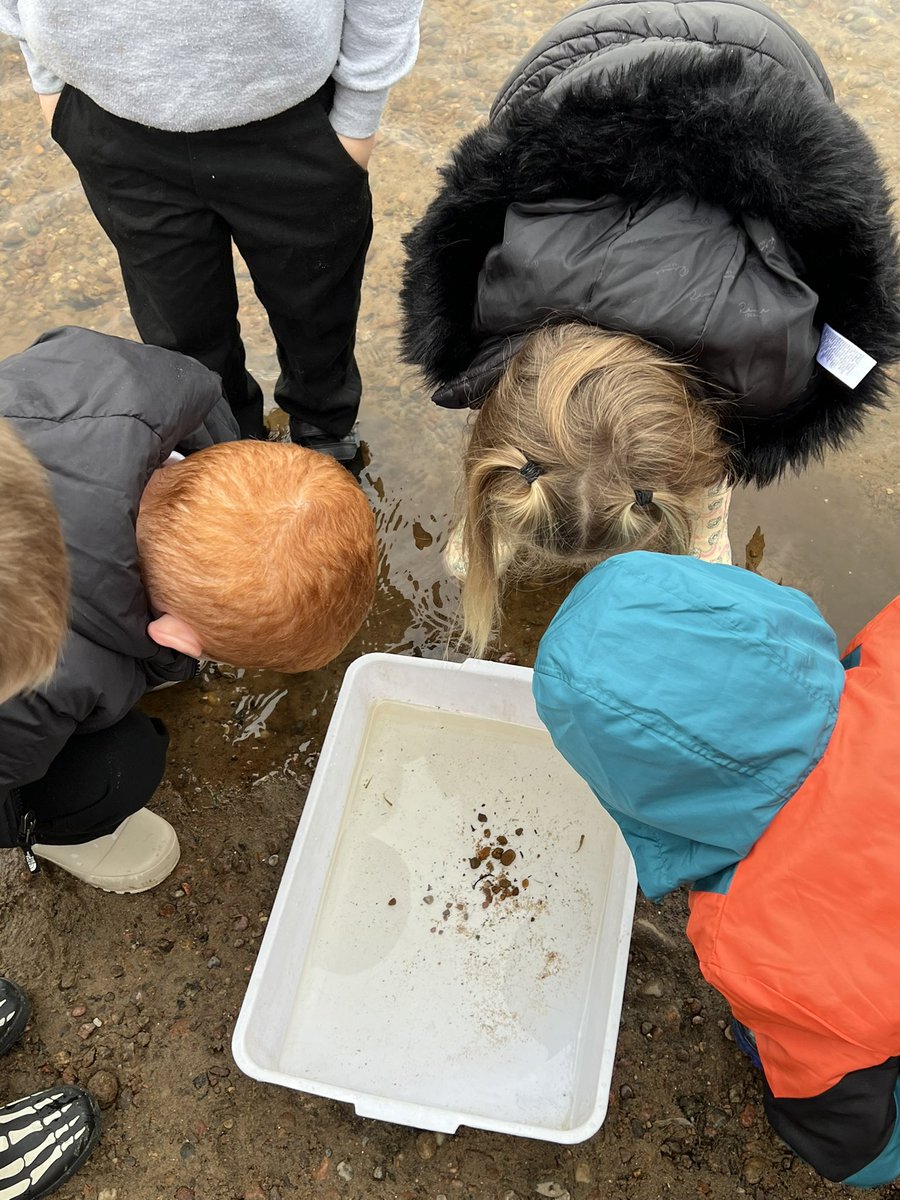 isla_iduncan45's tweet photo. Mrs Duncan and P1D Down by the Riverside
We were learning about life in The River Dee this week. We were observing the fish, ducks and learned about the life cycle of the salmon and how salmon move along the river.Lots of active learning. #buddingscientists @Kirkhill_School https://t.co/Ov0gO8gIzV