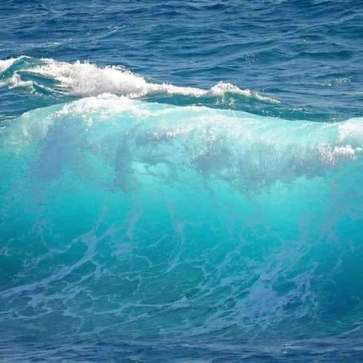 Matrouh_Egypt's tweet photo. وننوة علي عدم ممارسة السباحة ونزول البحر بمزار كليوباترا ، ومزار صخرة ليلي مراد
برجاء اتباع تعليمات مسئولي الشواطئ ، حفاظاً على أرواح الجميع .
نتمني لكم قضاء وقت ممتع علي شواطئ مرسي مطروح
#Marsa_Matrouh https://t.co/C2FxHXfNYn