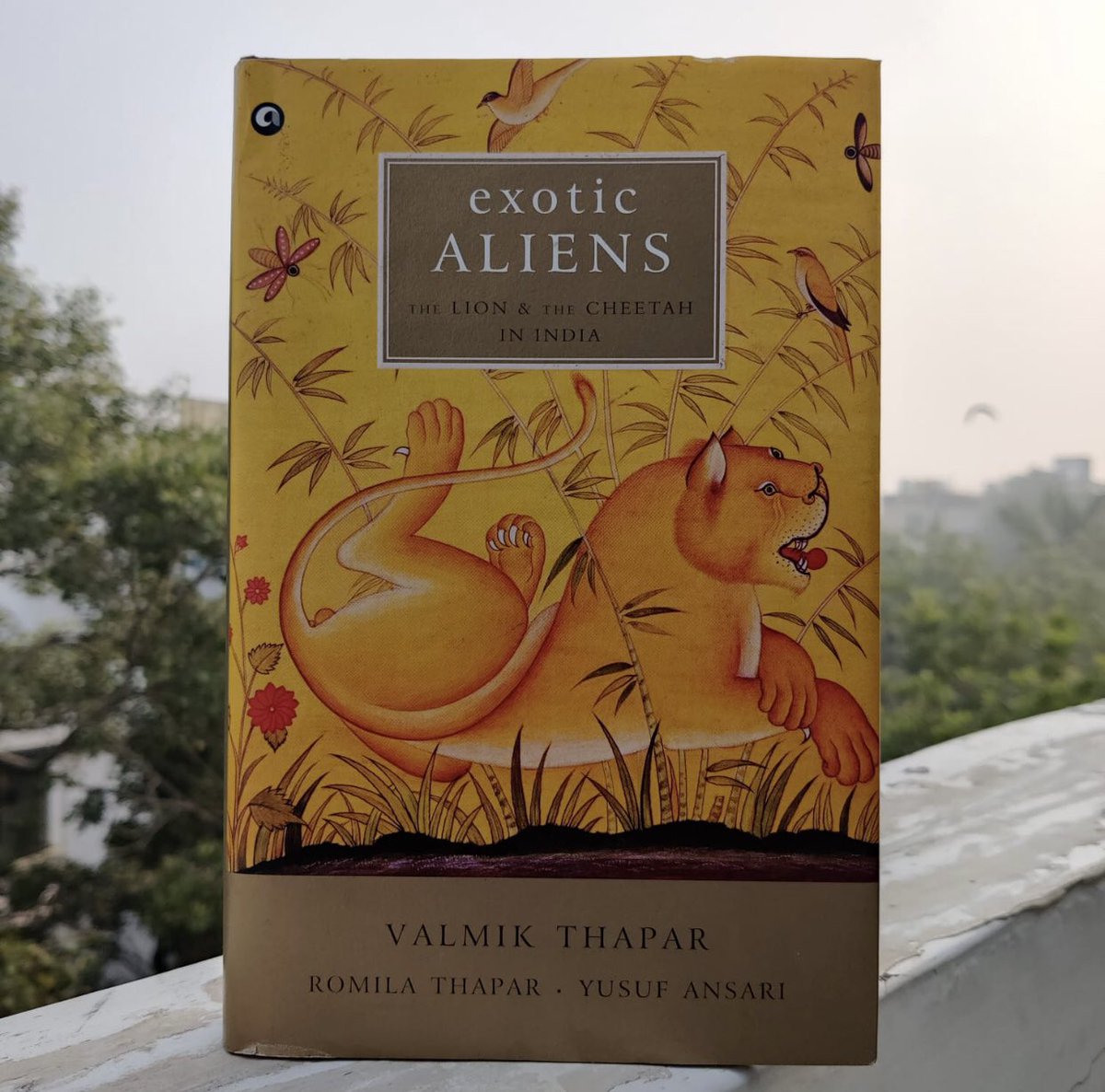 In 2012 I had the privilege to co-author “Exotic Aliens” a history of the Lion and the Cheetah in India with Prof. Romila Thapar - arguably India’s greatest living historian & Valmik Thapar, a prodigious scholar of Natural History. A thread on the #Cheetah: based on our findings.