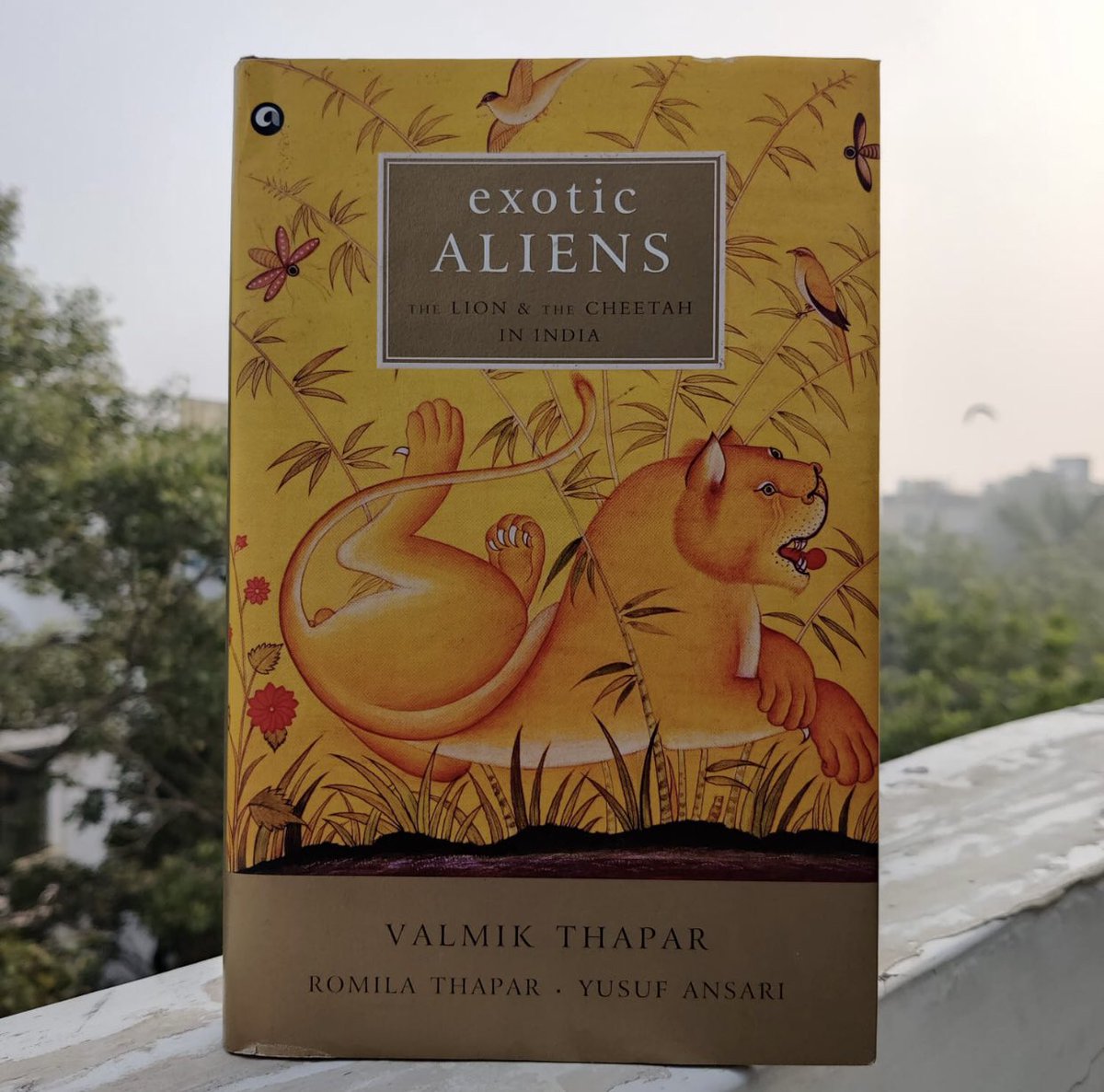 In 2012 I had the privilege to co-author “Exotic Aliens” a history of the Lion and the Cheetah in India with Prof. Romila Thapar - arguably India’s greatest living historian &amp; Valmik Thapar, a prodigious scholar of Natural History.
A thread on the #Cheetah: based on our findings.