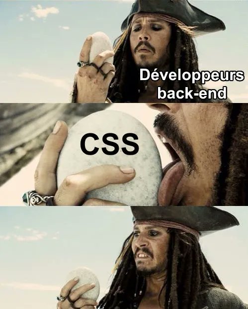 lesjoiesducode's tweet photo. Un jour je saurai aligner des divs verticalement 👀 https://t.co/i4o2hLzT4n https://t.co/bOfpogk94U