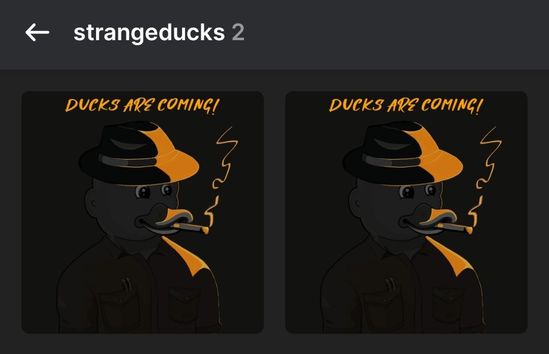 SwannyNFT's tweet image. Slow mint doesn't mean bad mint. 
Allright? 🔥👑

Got my 2 @strange_ducks 
Can't wait for the reveal!