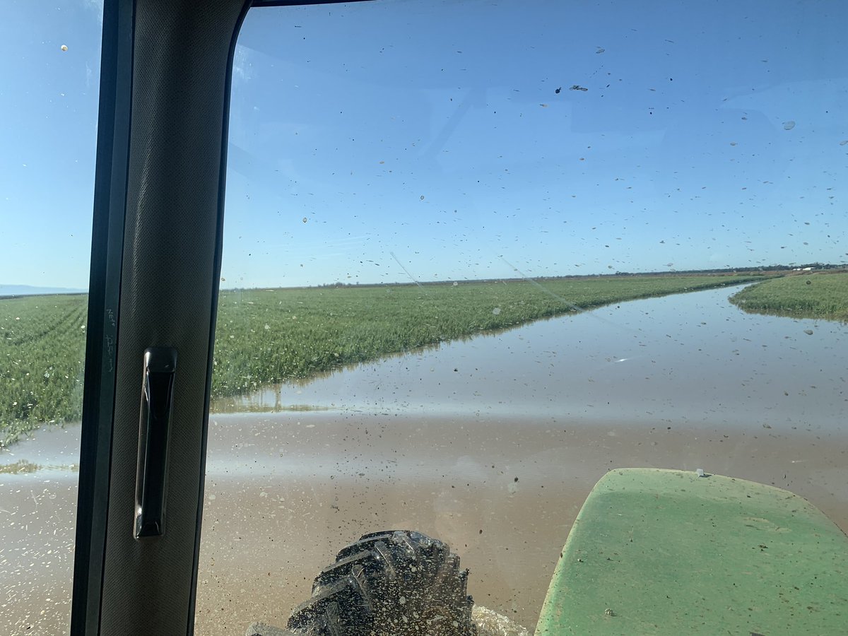 JimWall222's tweet photo. @stevross001 I’ll join the club as well. Two years in a row. 10km east of wee waa https://t.co/dygViRe19e