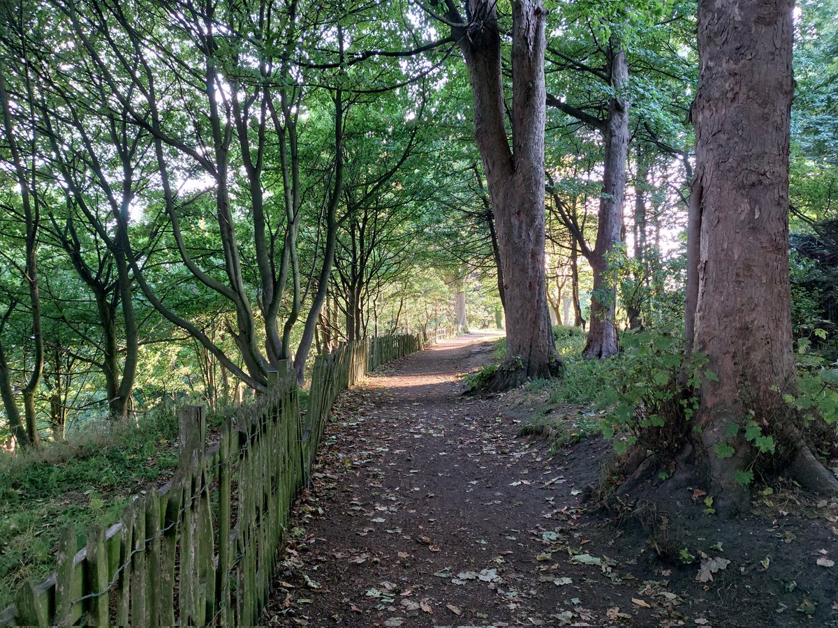 Hike1000miles's tweet photo. When you diacover new running routes, you see more, you explore more, you experience more ππββοΈππ
#getoffthechair #outdoors #discovery #explorer #nature #views #adventure #exercises #photography #landscapes #sea #Scotland #Dysart #travel #visitscotland #forests #trees https://t.co/gOohwkUcgs