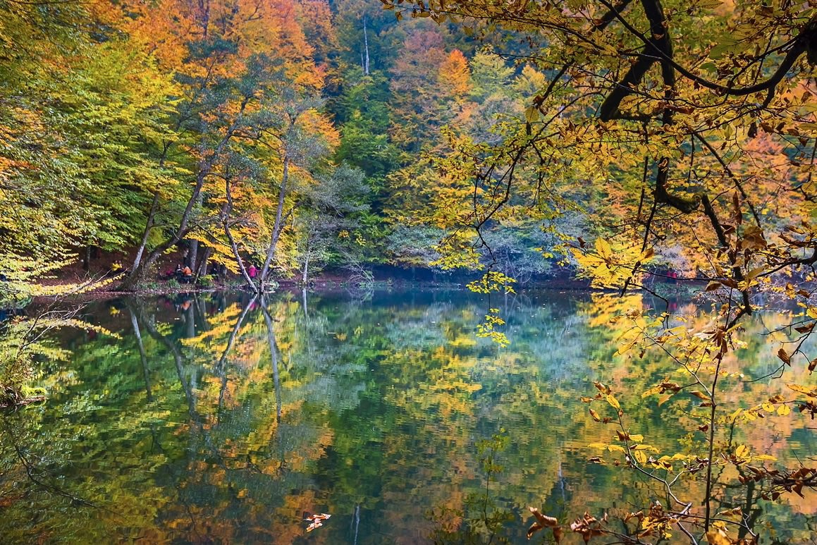 Good morning ☕️🍁🍂🍃