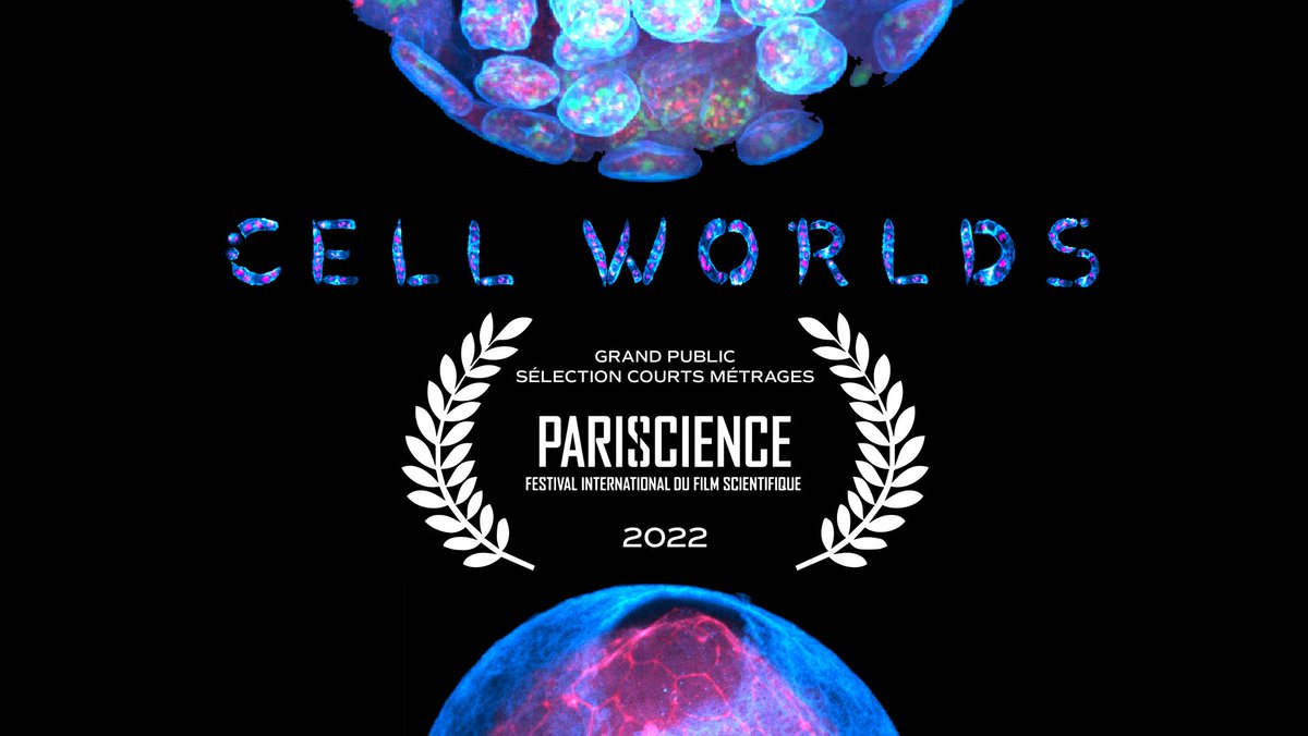 exaltiafr's tweet image. [🟢 Selection] Cell Worlds in the spotlight at the @Pariscience festival! ✨ We are very honored by this recognition in the category General Public - Short Films 📆 Cell Worlds will be screened in public on Saturday, October 29 at 5pm at @Le_Museum ➡️ pariscience.fr/seance/science…