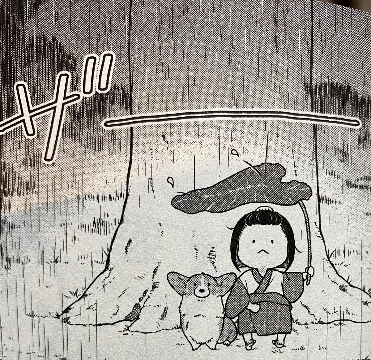 雨やむまでひと休み☔️  #殿と犬 #コーギー #コーギーのいる暮らし 