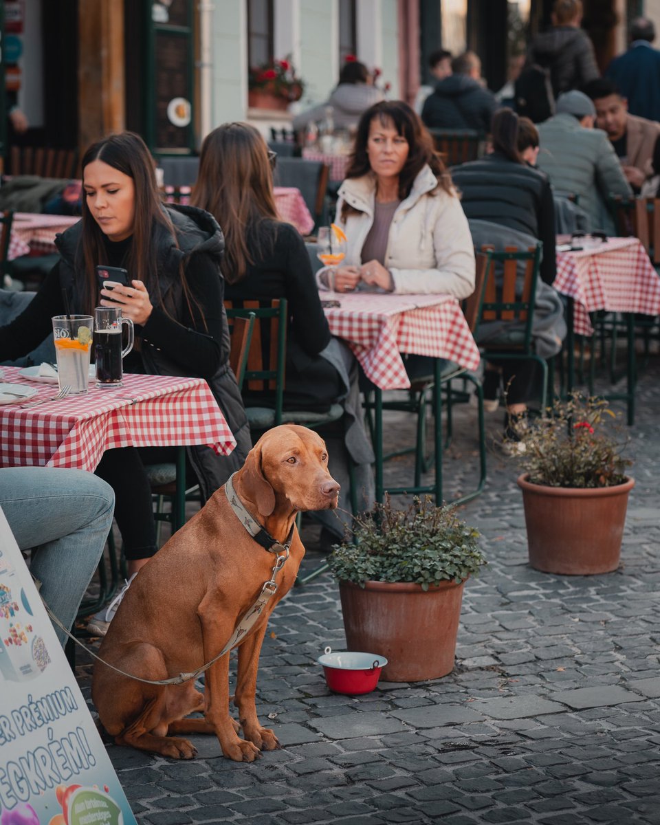 Charm of a little town - Szentendre, Hungary