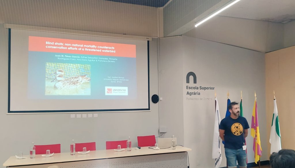 JuanMa_PerGar's tweet photo. Ayer terminó el 6° Simposio Europeo de #Anátidas en Coimbra, Portugal, dónde hemos presentado datos inéditos sobre los movimientos de las cercetas #pardillas entre España y el norte d África, principales causas de mortalidad y las tasas de supervivencia de las aves reintroducidas https://t.co/G6Dzk2tn5y