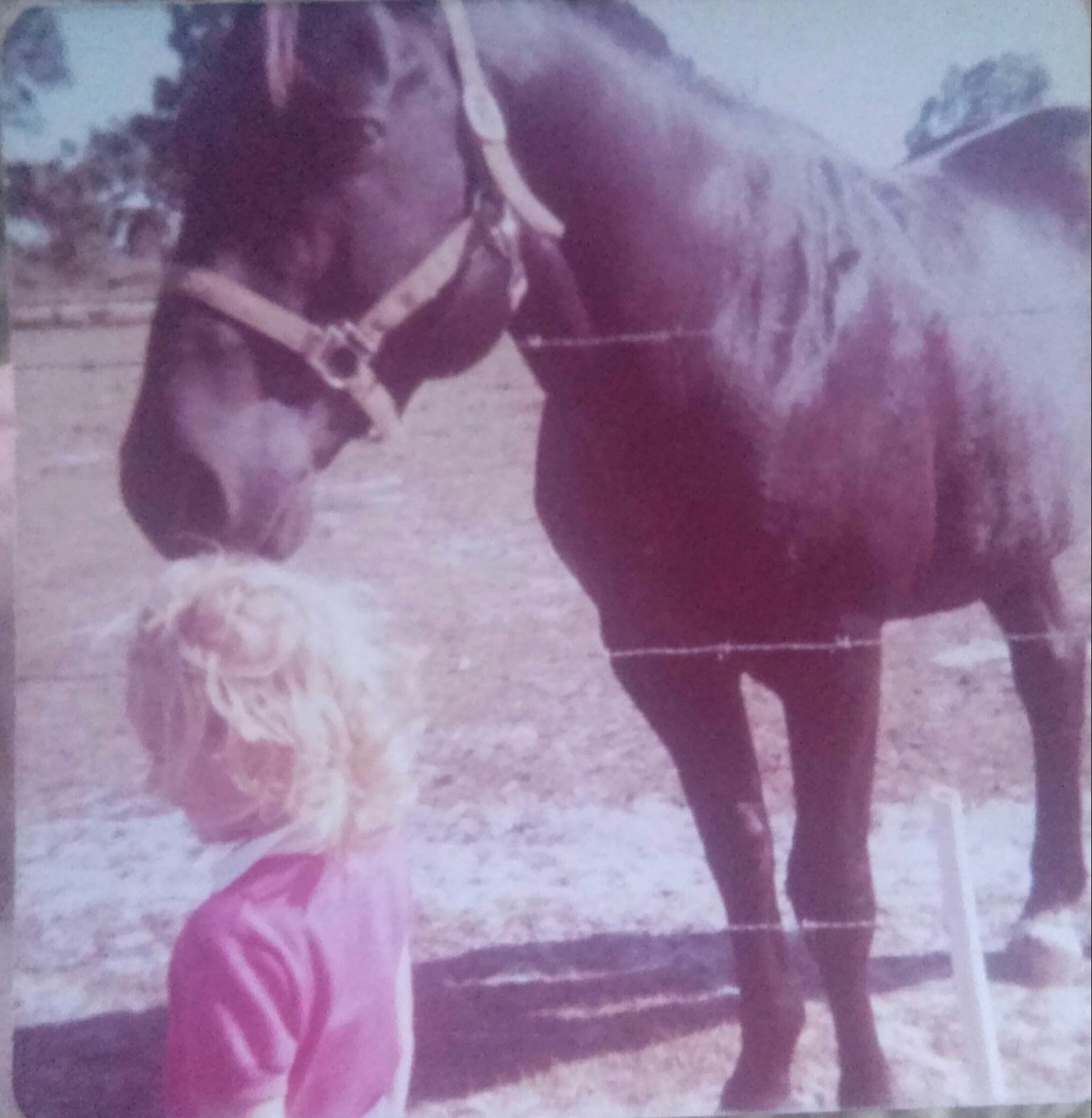 Michelle tweet media