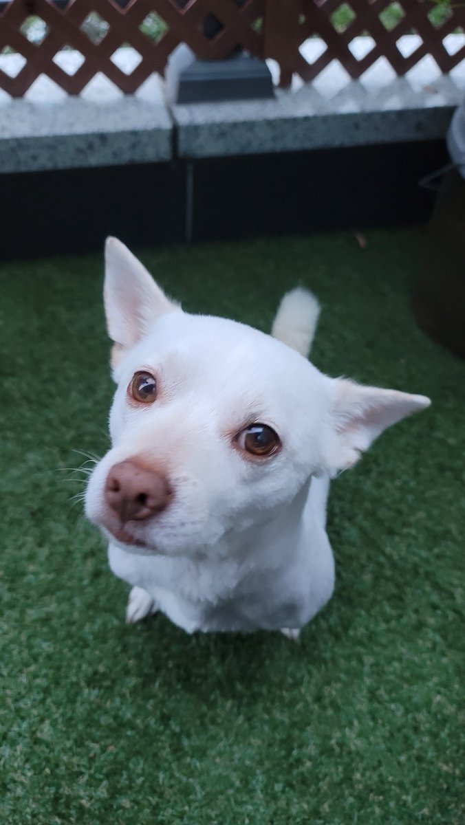 귀엽고 쟉고 소즁한 울 멈머